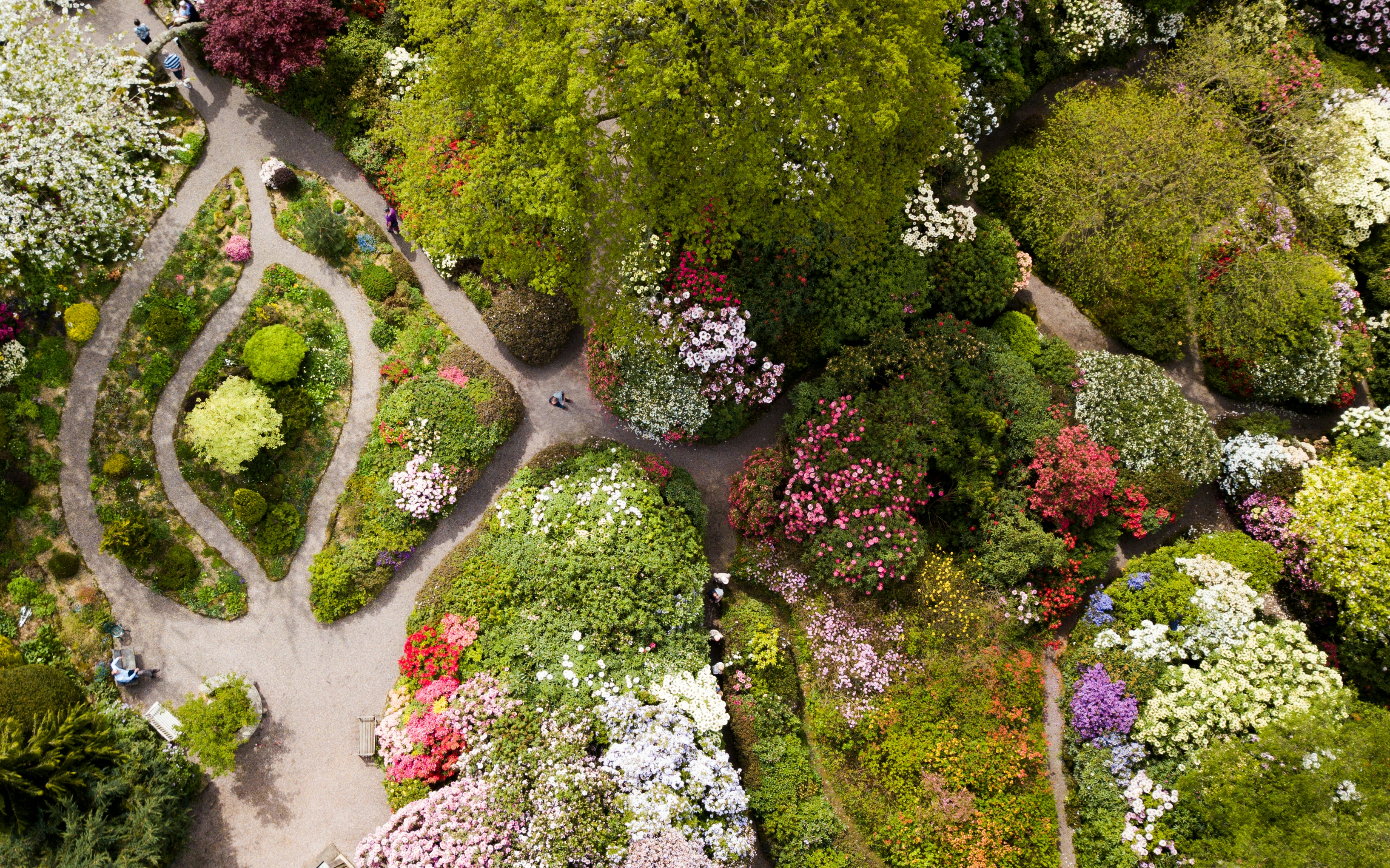 An aerial photo of a flower garden